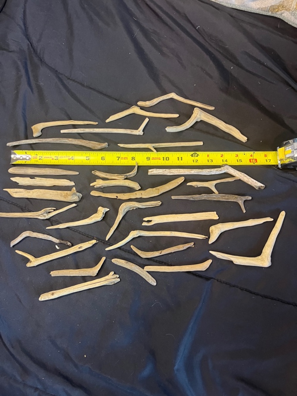 Natural Driftwood Branches for Reptile & Small Pet Habitats found on James River